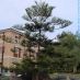 Imatge al campus