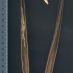 Detall fruit
