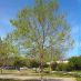 Imatge al Campus