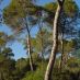 Imagen en el campo