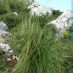 Imagen en el campo