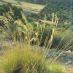Imagen en el campo 2