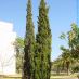 Imagen en el campo