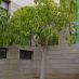 Imagen en el Campus