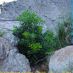 Imagen en el campo