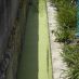 Imagen en el campo 2