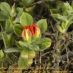 Imagen en el campo