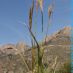 Imagen en el campo