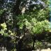 Imagen en el campo