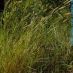 Imagen en el campo