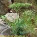 Imagen de campo