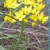 Imagen en el campo