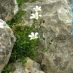 Imagen en el campo